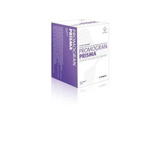 Promogran Prisma TM, wundausgl. Matrix, 28cm2
