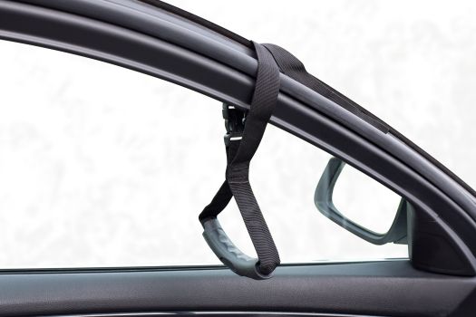Vitility Auto-Ein- und Ausstiegshilfe