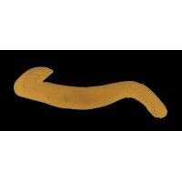 ADL® 30° Lagerungskissen, 170 x 74cm
