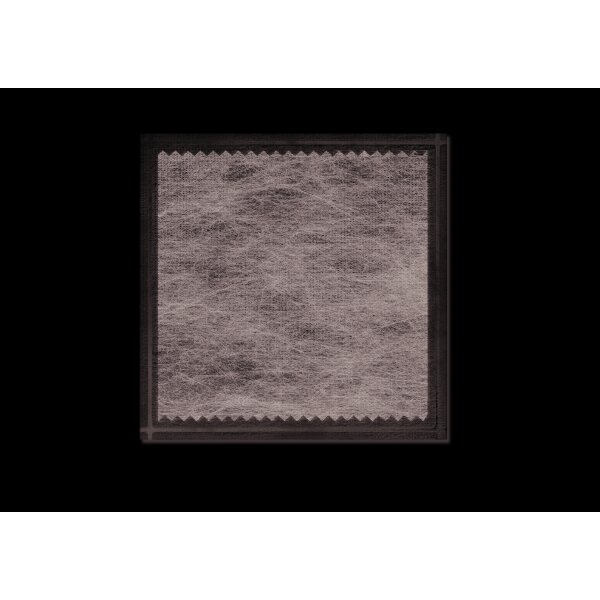Actisorb TM Silver 220, Aktivkohle, 19 x 10,5cm