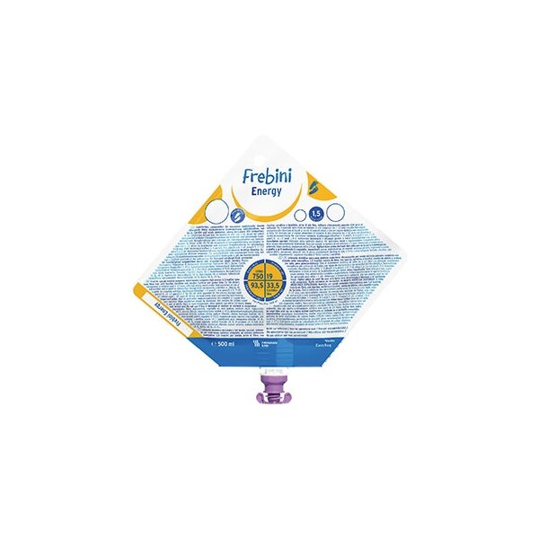 FREBINI Energy Easy Bag fluessig 500ml