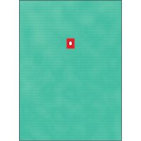 Raucodrape® PRO Ohr-Lochtuch, 175 x 240cm
