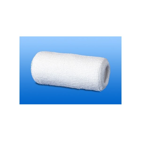 NOBAZINCULAST Zinkleimbinde 10 cmx10 m