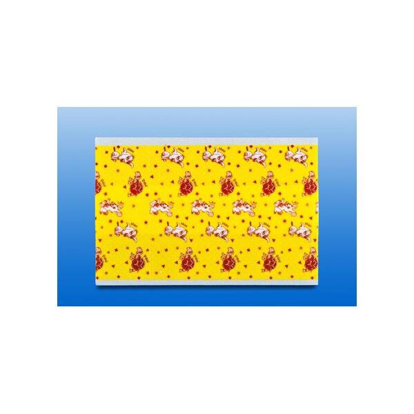 RUDAMED junior Kinderpflaster 6x10 cm