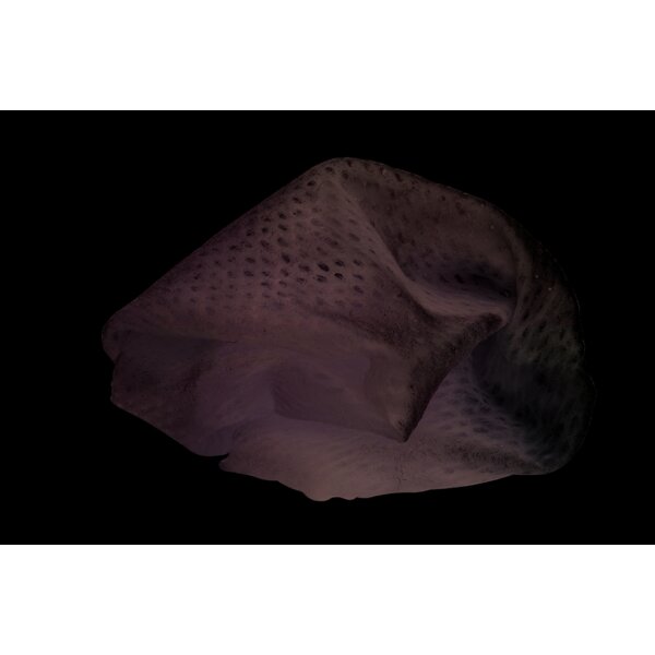 Intrasite Conformable, Poly.-Viskose­Gaze, 10x20cm