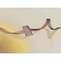 DYNAMESH PRM Netzimplantat 3x4 cm