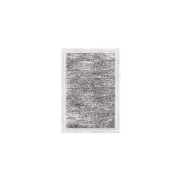Actisorb TM Silberfrei, Aktivkohle, 6,5 x 9,5cm