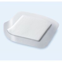 Cutimed Siltec B Schaumverb.10x10cm