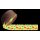 Maxi® Color Monster, Wundschnellverband, 5m x 4cm